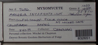 Image Associated With the Occurence